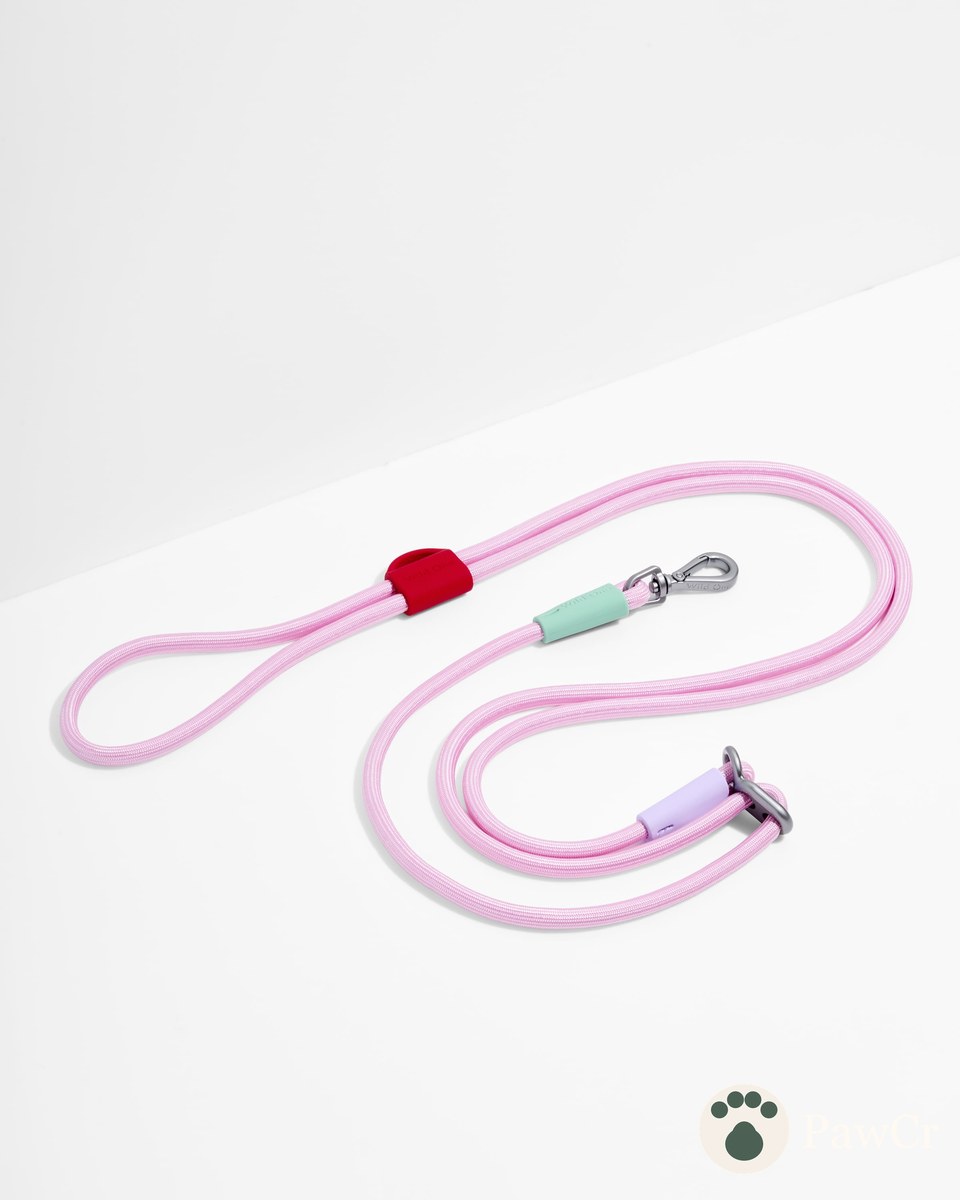 Hands-Free Rope Dog Leash - Image 3