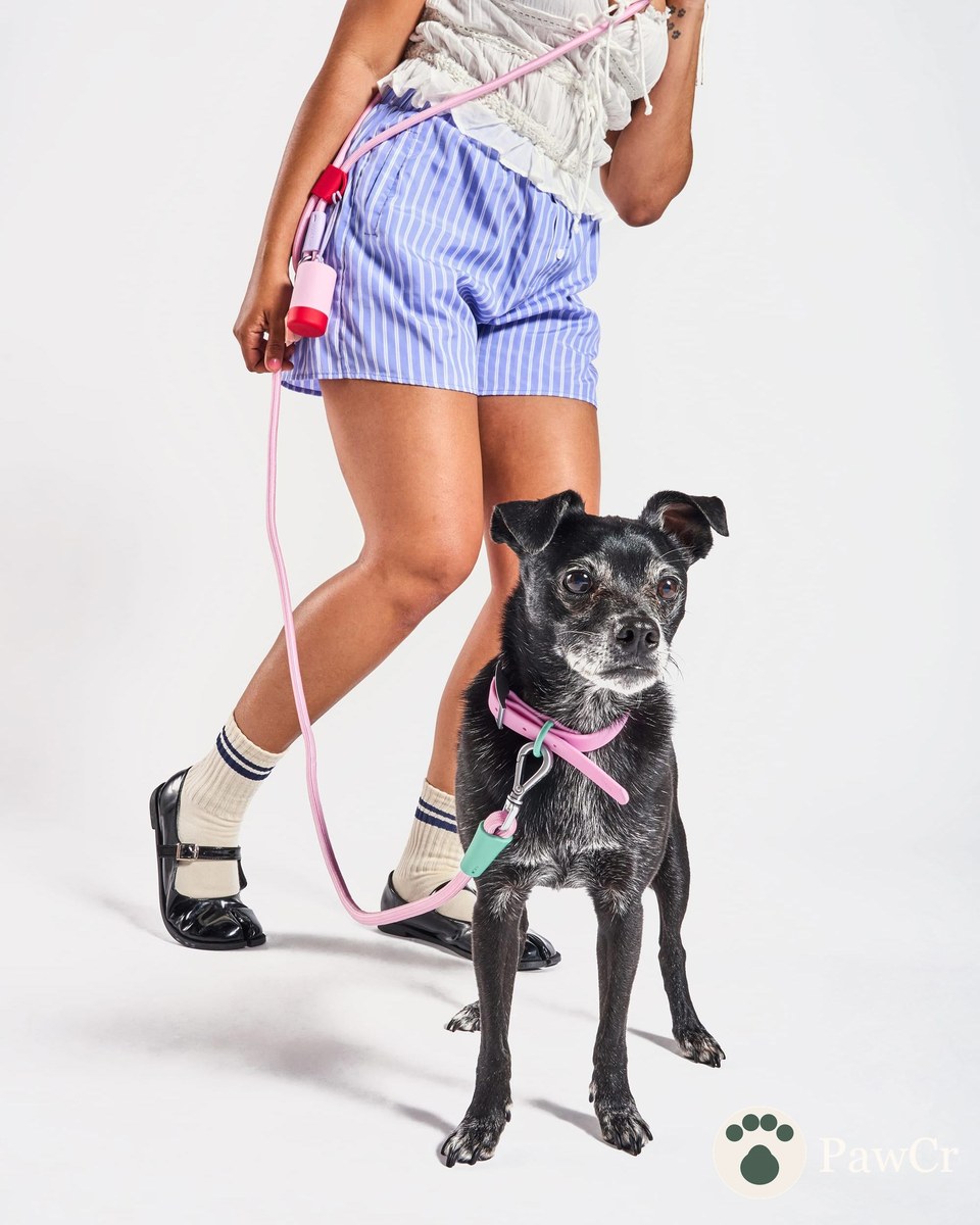 Hands-Free Rope Dog Leash - Image 4