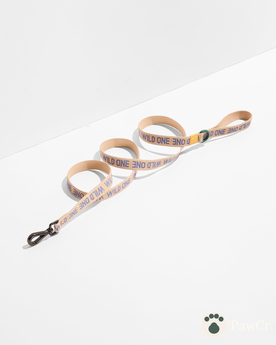 Lightweight Dog Leash
