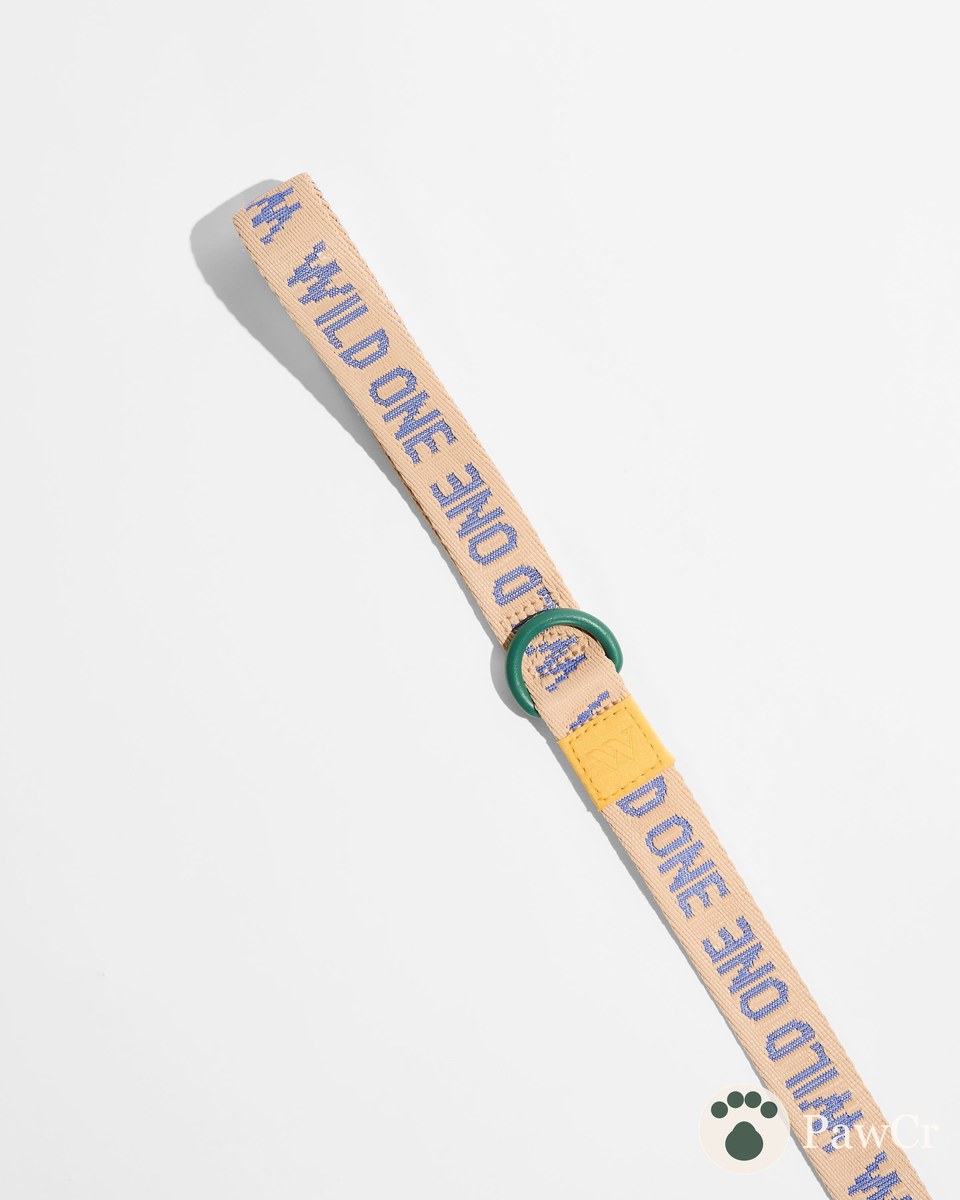 Lightweight Dog Leash - Image 4